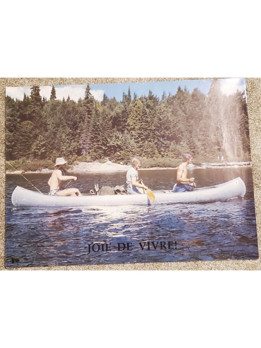 Canada Canoeing Poster Joie de Vivre Health Welfare Bilingual Canadian Vintage